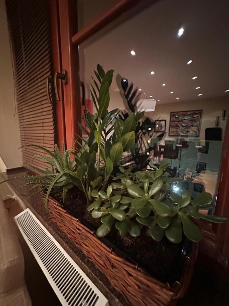 Apartament Josefina Polanica-Zdrój Exteriör bild